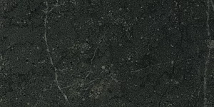 Керамогранит матовый Steppe Ceramics Madera Black черный 300*600*8,5
