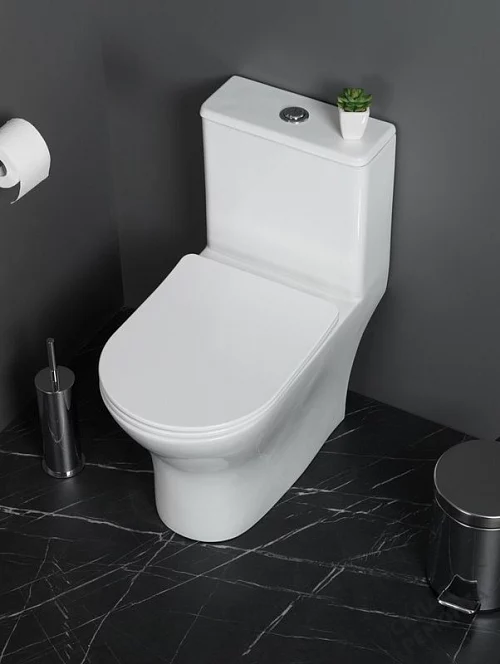 Фото Унитаз моноблок BelBagno Lounge BB8618CPR-MN/SC безободковый купить в Луганске: цена, описание, фото. Интернет-магазин 1